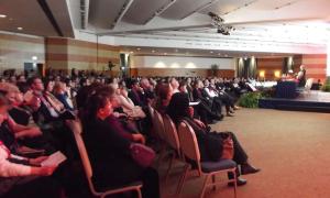 Világkonferencia, Róma 2014