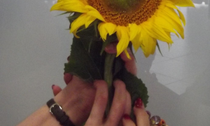 Scleroderma világnap, 2016