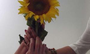 Scleroderma világnap, 2016