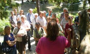 Ssc világnapi konf., 2014