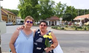 Pécsszászvár, 2021